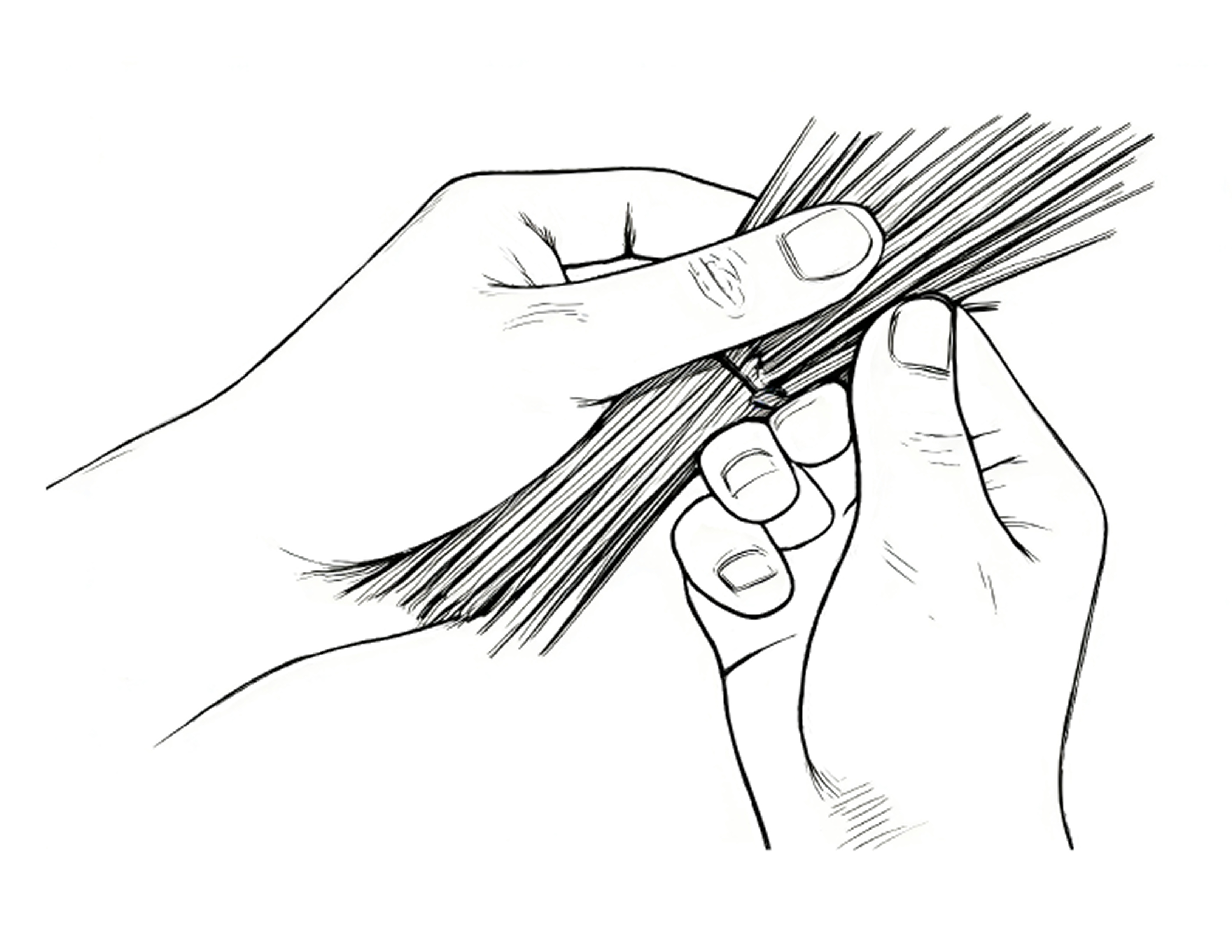 Raw Material Inspection